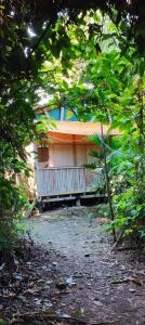 a house obscured by trees in front of a house at Greenland Eco Amazon Lodge in Paucartambo