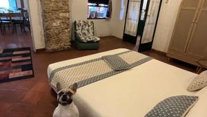 Ein Hund steht zwischen zwei Betten in einem Zimmer in der Unterkunft Villette Monte Alto in Patti