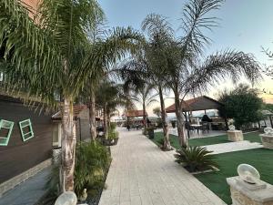 a courtyard with palm trees and a walkway at carmel cabins suite nu 8 in Haifa