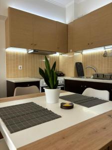 a kitchen with a table with a potted plant on it at My Chios Apartments in Chios +6 photos