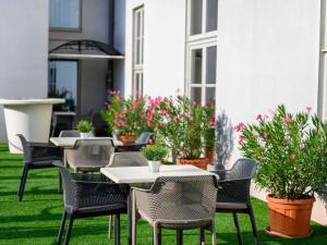 a row of tables and chairs on a lawn with plants at Mercure Szekesfehervar Magyar Kiraly in Székesfehérvár