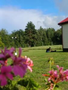 a man sitting in the grass in a field at Osada Wilaneska domki Mikołajki Mazury in Mikołajki