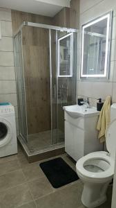 a bathroom with a shower and a toilet and a sink at Apartman Pavlov 023 in Zrenjanin