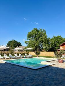 a swimming pool with chairs and umbrellas at Eko Apartmani in Bački Petrovac