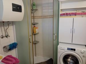 a small bathroom with a washing machine and a shower at Apartman Sanjković in Rovinjsko Selo