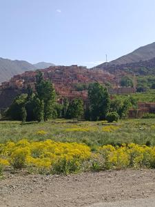 a field of yellow flowers with a city in the background at Jnan Narjiss atlas in Asni