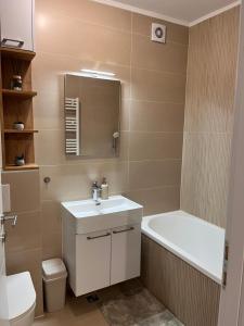 a bathroom with a sink and a tub and a toilet at Apartman A&V in Vranješ +33 photos