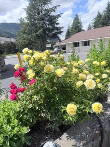a bunch of yellow and pink flowers in a garden at Canyon Alpine Motel in Boston Bar