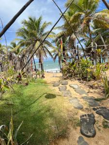 a path to the beach with palm trees and the ocean at Kitnet em Santo Antônio in Mata de Sao Joao