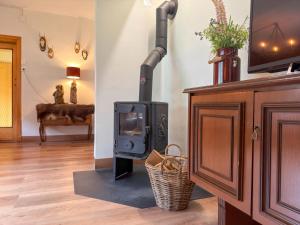 a living room with a wood stove in a room at Jagerhütte in Mallnitz
