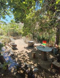 a patio with a table and benches under a tree at Hostal Rústico Las Pircas in Alcoguaz