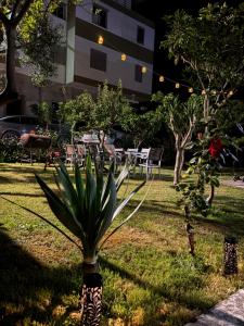a plant in a yard with a table and chairs at Hasler Studios in Qerret