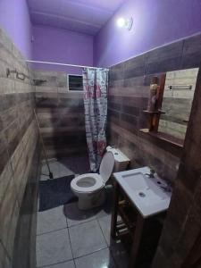 a bathroom with a toilet and a sink at Hospedaje Tidae in Tinogasta +7 photos