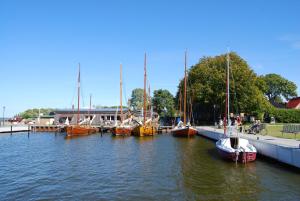a group of boats are docked in the water at Ferienhaus mit Garten am Bodstedter Bodden in Bodstedt