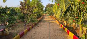 a row of trees in a garden with a fence at Surya farms in Rajiv Gandhi International Airport