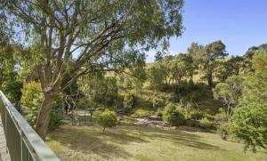 a view of a river from a deck with a tree at The River House in Merrijig