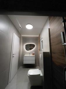 a bathroom with a toilet and a sink at Apartman Rawda in Jajce +56 photos