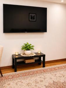 a living room with a tv and a table with a plant at Azure Glow Studio in Brossard +3 photos