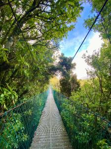 a suspension bridge in the jungle in the amazon jungle at Rincón Uruguayo in Monteverde Costa Rica