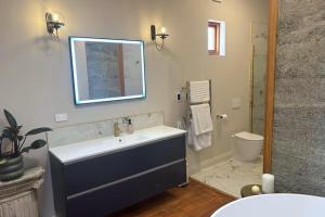 a bathroom with a sink and a toilet and a mirror at The Verdict in Martinborough