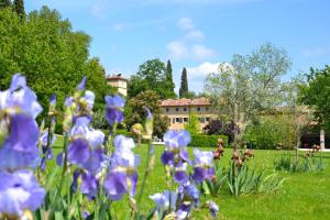 een veld met paarse bloemen in een park bij La Foresteria Serego Alighieri in SantʼAmbrogio di Valpolicella