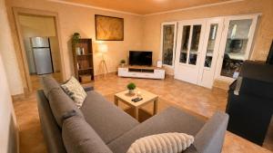a living room with a couch and a tv at Private Vineyard House in Banjol