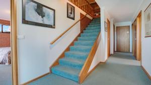 a staircase in a home with blue carpet at SeaLeka 6 in Merimbula