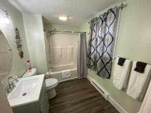 a bathroom with a sink and a toilet and a shower at 1 Bed 1 Bath Suite On Strip in Geneva +11 photos