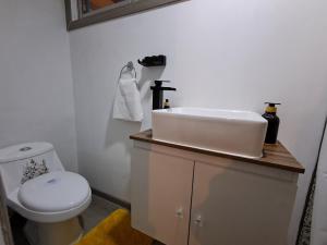 a bathroom with a sink and a toilet at El Laurel in Chillán