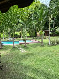a swimming pool with palm trees in a park at La macana Ecotour in Cacique