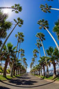 a road lined with palm trees next to the beach at 海と富士山を望む4名1棟貸し古民家宿 最大7名 鎌倉エリアの隠れ家 in Zushi