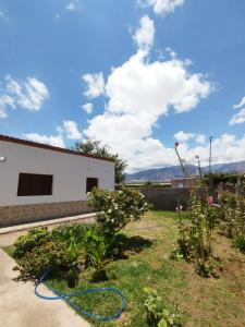a garden with a hose in the yard at Casa Luis del carmen in Fiambalá