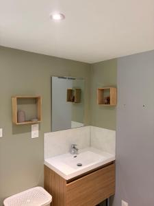 a bathroom with a sink and a mirror at Gite Climatisé Les Terrasses Perchées 2 Chambres in Saint-Vincent +15 photos