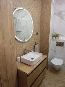 a bathroom with a white sink and a mirror at Blue Perła Premium in Kutno