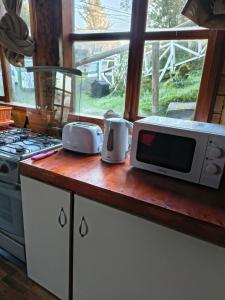 a kitchen counter with a microwave and a stove at Cabañas CyG 2 - Chaitén in Chaitén