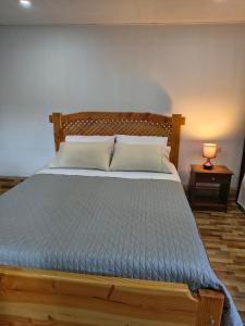 a bedroom with a bed with a blue comforter and a lamp at Cabañas CyG 2 - Chaitén in Chaitén