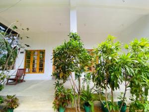 a room with a bunch of trees in a building at Stay at arugambay in Pottuvil +11 photos