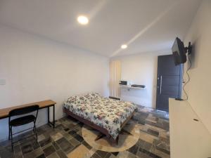 a bedroom with a bed and a desk and a television at Nova Suites in San Juan Xilotzingo