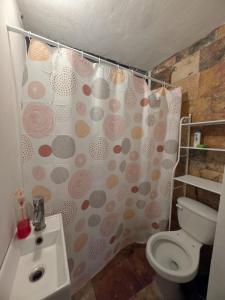 a bathroom with a toilet and a shower curtain at Nova Suites in San Juan Xilotzingo