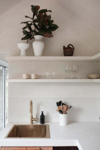 a kitchen with a sink and shelves with a plant at The Antidote Luxe Off-Grid Tiny Home Escape on Private Farm Stay in Farmeadow +11 photos