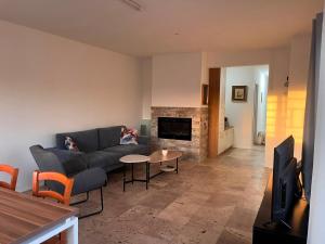 a living room with a couch and a fireplace at בית בערבה in Mitzpe Ramon