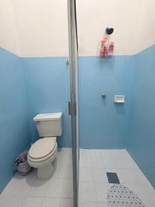 a blue bathroom with a toilet and a shower at Pakal 2 Apartment in Palenque