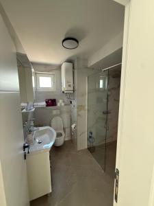 a bathroom with a toilet and a sink and a shower at Vila Handžić in Mostar