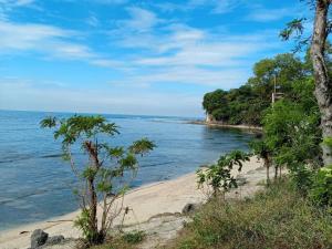 a sandy beach with trees and the ocean at Rustic Retreat room only in San Fernando +9 photos