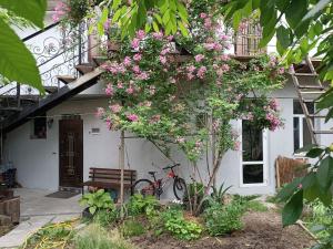 a bike parked next to a house with pink flowers at Номер в доме у моря с бассейном in Odesa