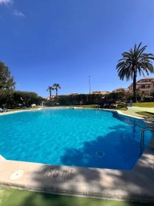 a large swimming pool with blue water and palm trees at Lima in Orihuela Costa