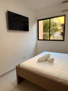 a bedroom with a bed with a flat screen tv on the wall at Flat Hotel Canarius Gravatá in Gravatá +90 photos