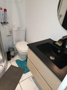 a bathroom with a black sink and a toilet at L 'escapade amiénoise 4 in Amiens
