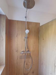 eine Dusche in der Ecke eines Badezimmers in der Unterkunft Am Wolfsbach in Helferskirchen