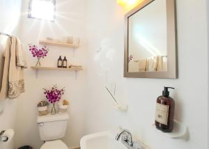 a bathroom with a toilet and a mirror and a sink at Centro Mornings, King & 2BR Suites, Sleeps 2-8, Kitchen WiFi AC, Beach, 5th Ave, ADO & Ferry 4 Min in Playa del Carmen